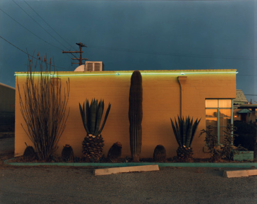 joeinct:Greyhound Park Motel, Tucson, Arizona, Photo by Steve