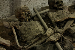 mortem-et-necromantia:  Monks buried in Brno Capuchin Monastery.