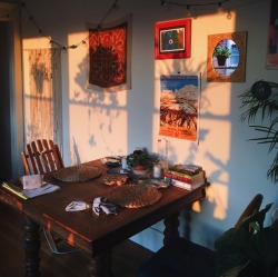 camelliapollen: sunrise in my apartment