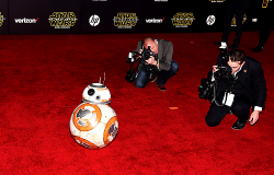 iwouldfookthat:  BB-8 at the Star Wars premiere in Los Angeles,