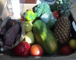 Love all the fresh organic fruits and veggies I got yesterday
