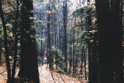 jessica woods