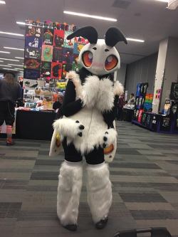 kazooie: nugget-the-alpaca:  Look at this moth suit! It’s soooo cute!   