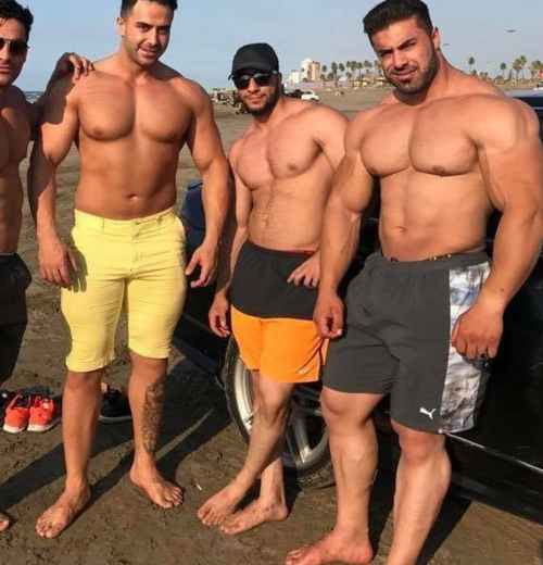 unlimited arab hunks