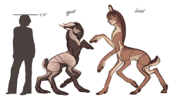 jayrockin:  After so many years of disliking centaurs for being