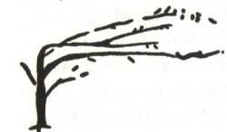 austinkleon:  Thumbnail drawings from Henry David Thoreau’s