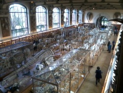 aspidelaps:  loulunatik:  Today i was at the national museum