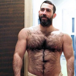 beardburnme:  losmaduros:  dbear44:  Lovin the fur & the