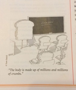 lolshtus:  Found In An Actual School Book