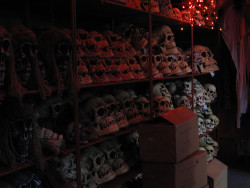enchanting-autumn:  Skull inventory by doublelibra on Flickr.