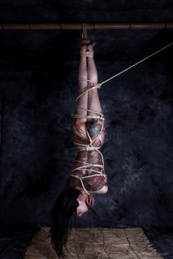 hajimekinoko:  Irezumi Model Aika Yoshioka  Photo&Rope Hajime