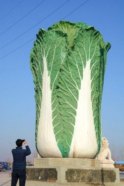 knsth: bustakay: The Big Cabbage in Liaocheng, Shandong.  there