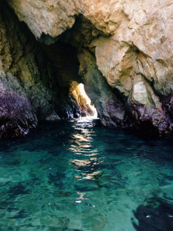 eartheld:  definitelydope:  Cave swim. Point lobos (by kevinrussmobile)