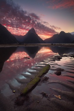sublim-ature:Milford Sound, New ZealandDylan Gehlken