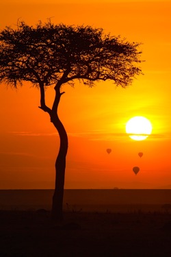 robert-dcosta:  Sunset in Maasai || © || Robert D’Costa ||