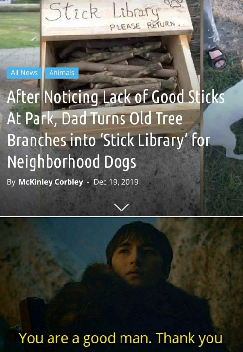 omghotmemes:  Stick library? Huh