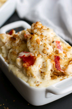 verticalfood:  Lobster Mac and Cheese  i wish i could eat that