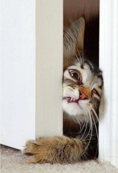 What are you doing in there? Lemme in!