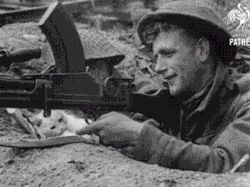 skypig357: giflounge: 1944 - Snowball the cat tries to take over