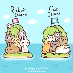 japanloverme:  Japan’s rabbit island and cat island(s) are