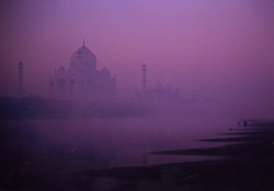 tropicale-moderne:  Taj Mahal, Agra, India by Ran Chakrabarti