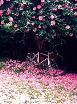 eclissa:  spring baby su We Heart It - http://weheartit.com/entry/168466752