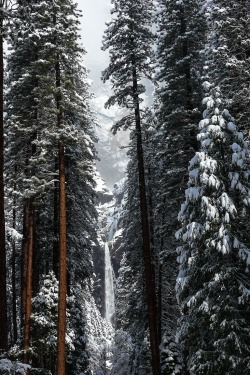 human-pets:  Lower Yosemite Falls, Winter by (tanngrisnir3)