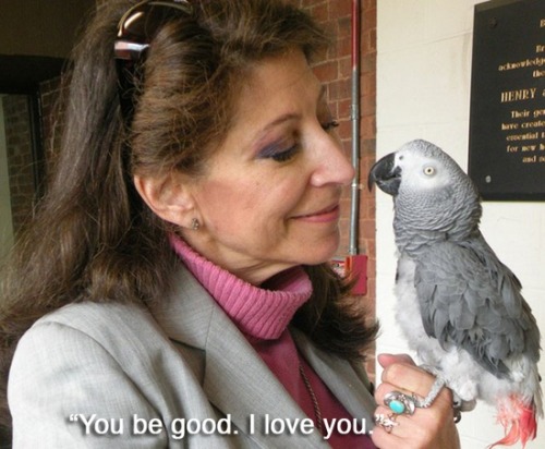 Famous last words (what Alex, the African grey parrot, said to his owner Irene Pepperberg before he died in 2007 … Alex was famous for his ability to count and identify colours)