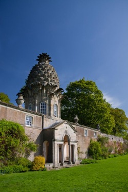 let-s-build-a-home:  The Dunmore Pineapple Picture: barrysprout
