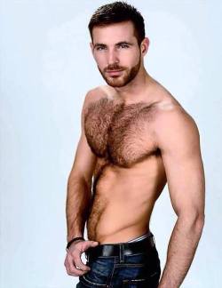 hairy-chests:  @hairychestsx     Submit MoDeL G      Cock - Gif