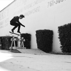 not-trippin:Ben Nordberg