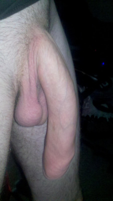 biguyinstx:  faggiveshead:  2sthboiz:  HORSE HUNG WHITE BOI 