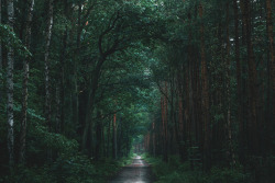 dennybitte:  on various paths by Denny Bitte 