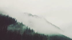 mystic-revelations:  Untitled By Tyler Forest-Hauser 