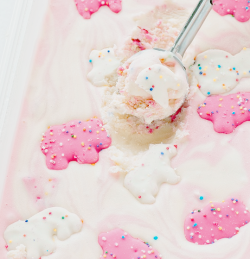 kiyumie:    Circus Animal Cookie Ice Cream // My edit 