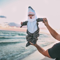 awwww-cute:  Baby shark, do do do do da doo 