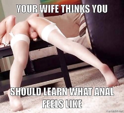 Your wife thinks you.. Shoul learn what anal feels like…