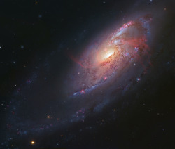 crookedindifference:  M106, Spiral Galaxy in Canes Venatici 