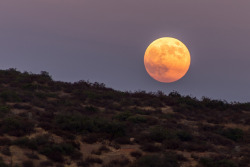 mothernaturenetwork:  Here’s the massive blue moon you missed