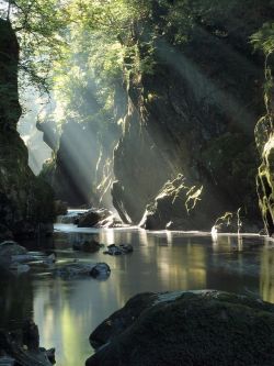 colorel11:  Fairy-glen Wales  good grief that’s amazing