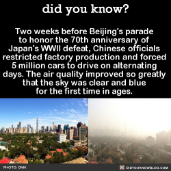 did-you-kno:   Until the day after the parade, when it was back