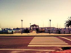 sugarflowersandcolours:  Punta del Este - UruguayFoto: Yo :B