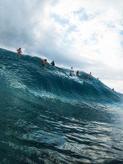 surf4living:  the one that got awayph: corey wilson