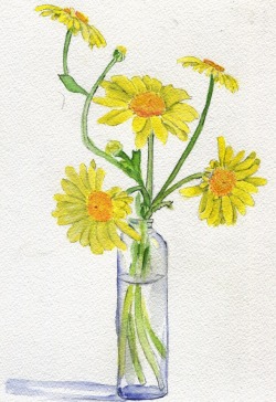 havekat:  Crazy DaisiesWatercolor, Gouache and Chinese Ink On