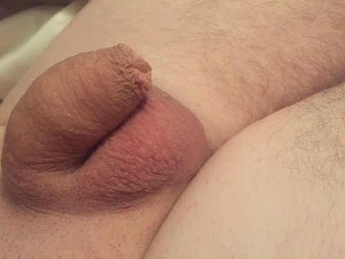 hec666:  First post of the day  Just woke up and am going to do some pics, edge and spend some time on tumbler and on kik (hec6666) so here is my partial cut cock being covered by its foreskin.  You can see that even though Iâ€™m cut I still have quite