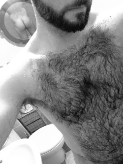 hairydude:  Cheeky bum ;)  #hairychest #hairyman #hairygay #gaycub
