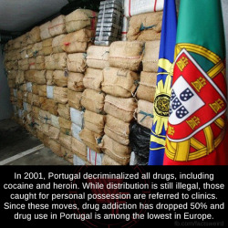 mindblowingfactz:    In 2001, Portugal decriminalized all drugs,