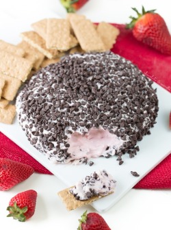 do-not-touch-my-food:  Chocolate Covered Strawberry Cheese Ball