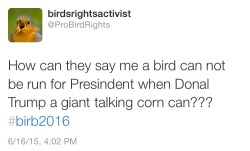 cidburger:  nottootypical:  Birb for President 2k16   But what