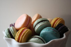 pixelsbeatpaper:  Le Bonbon French Macaron Sampler Pack Curious